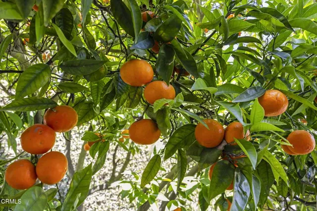 an aerial view of a house with a yard and mountain view in back