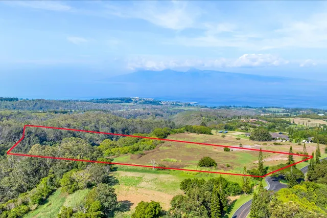 an aerial view of residential houses with outdoor space and trees