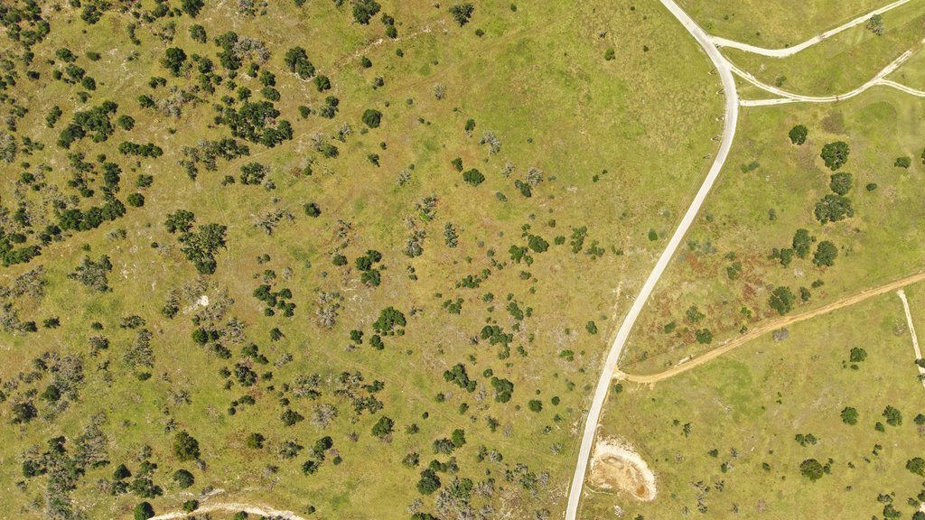 Tbd Reeh Road Fredericksburg, TX 78624 - Photo 9 of 37 An aerial perspective reveals a sprawling natural landscape with diverse vegetation and meandering pathways.