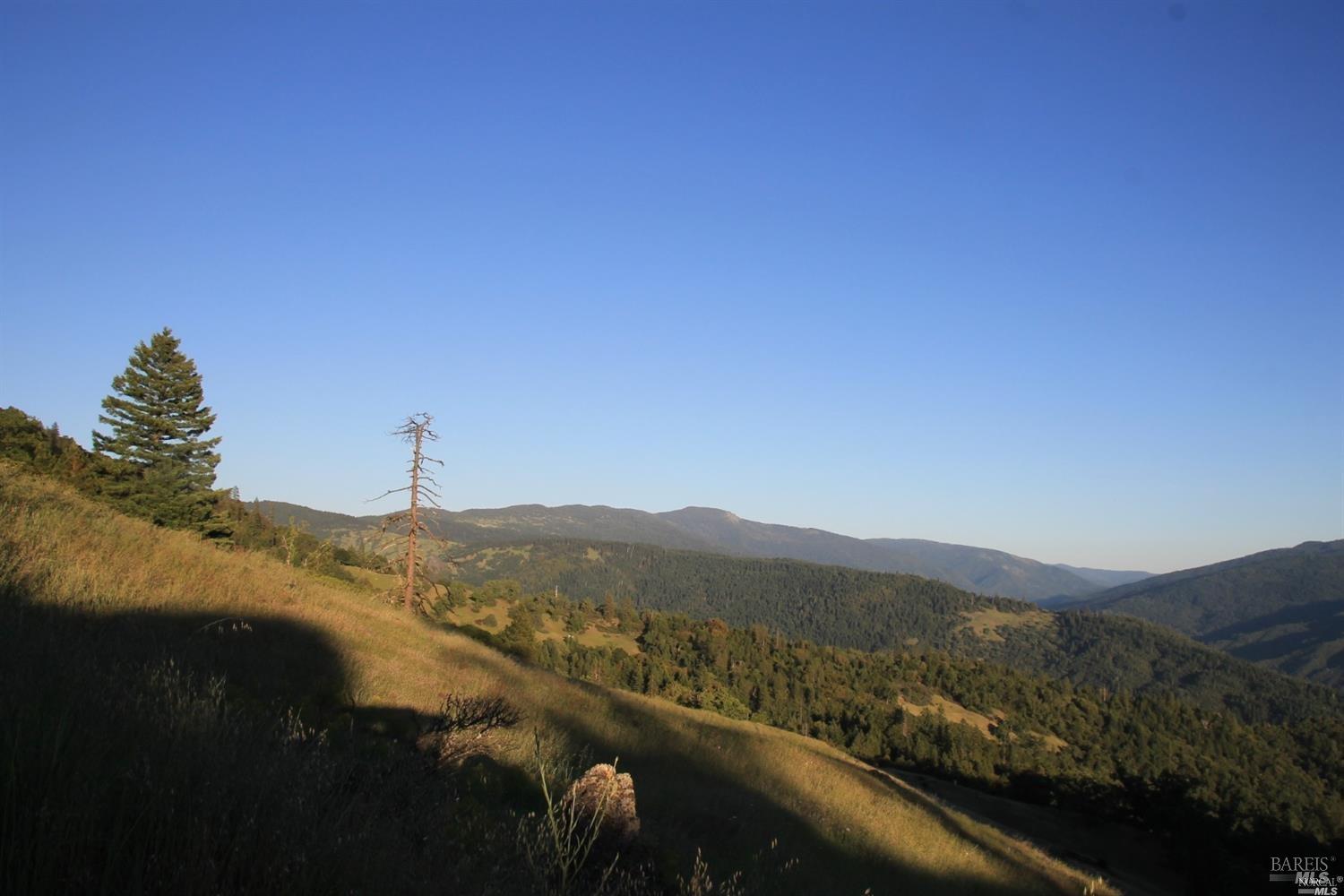 0 Mendocino Pass Road Covelo, CA 95428 - Photo 16 of 19 a view of a city with a mountain