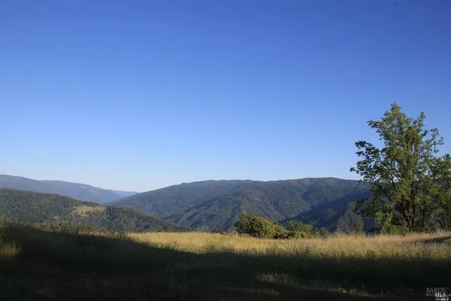 a view of lake with trees