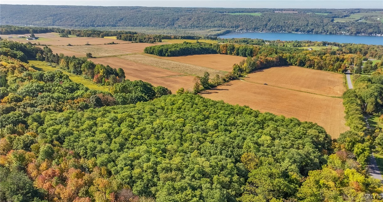 L11 Hall Road Moravia, NY 13118 - Photo 12 of 19