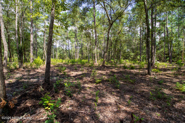 4406 Lori Loop Road Keystone Heights, FL 32656 - Photo 6 of 13 Keystone -21
