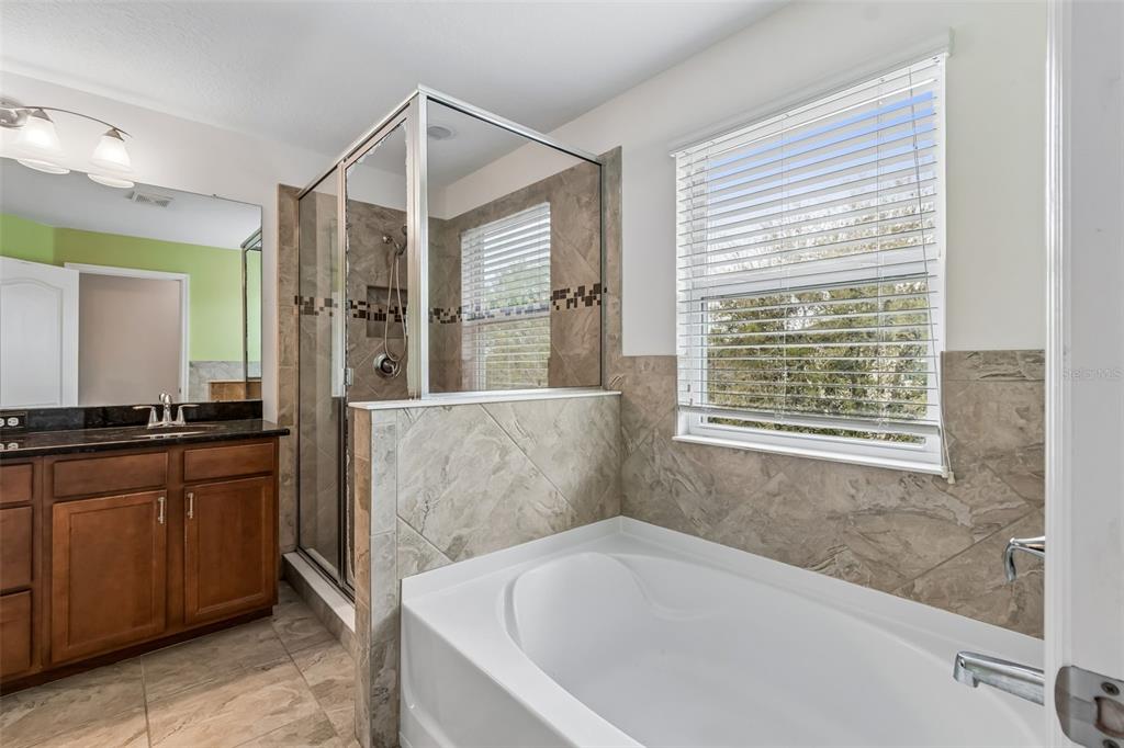 6105 Merrifield Drive Zephyrhills, FL 33541 - Photo 64 of 85 a bathroom with a bathtub and a sink