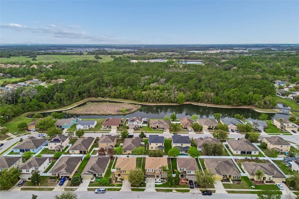 6105 Merrifield Drive Zephyrhills, FL 33541 - Photo 77 of 85