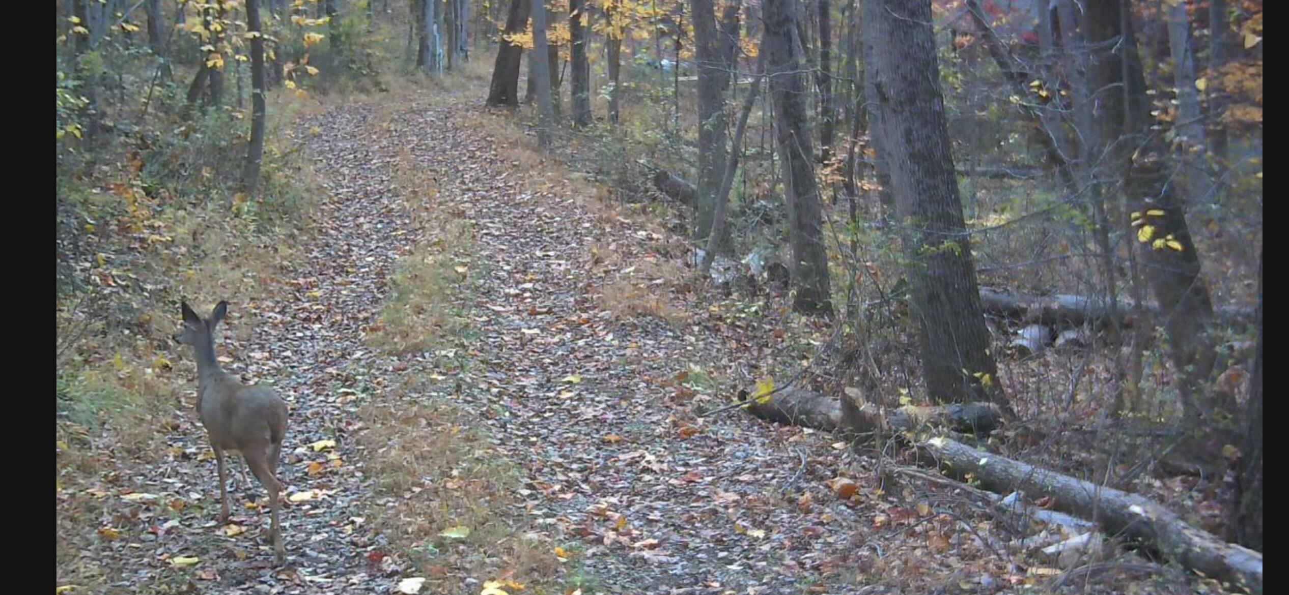 35047 Clay Hill Road Logan, OH 43138 - Photo 11 of 12 35047 Clay Hill Road, Logan, OH 43138