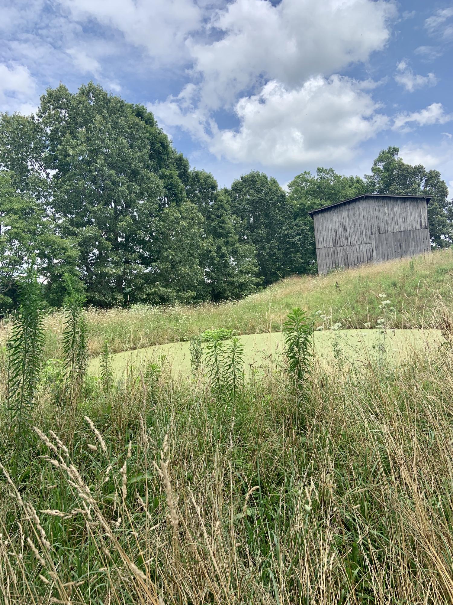 233 Tolliver Ridge Road Sharps Chapel, TN 37866 - Photo 4 of 16 F62A4E7B-F549-4624-BBC3-F521D78FE002