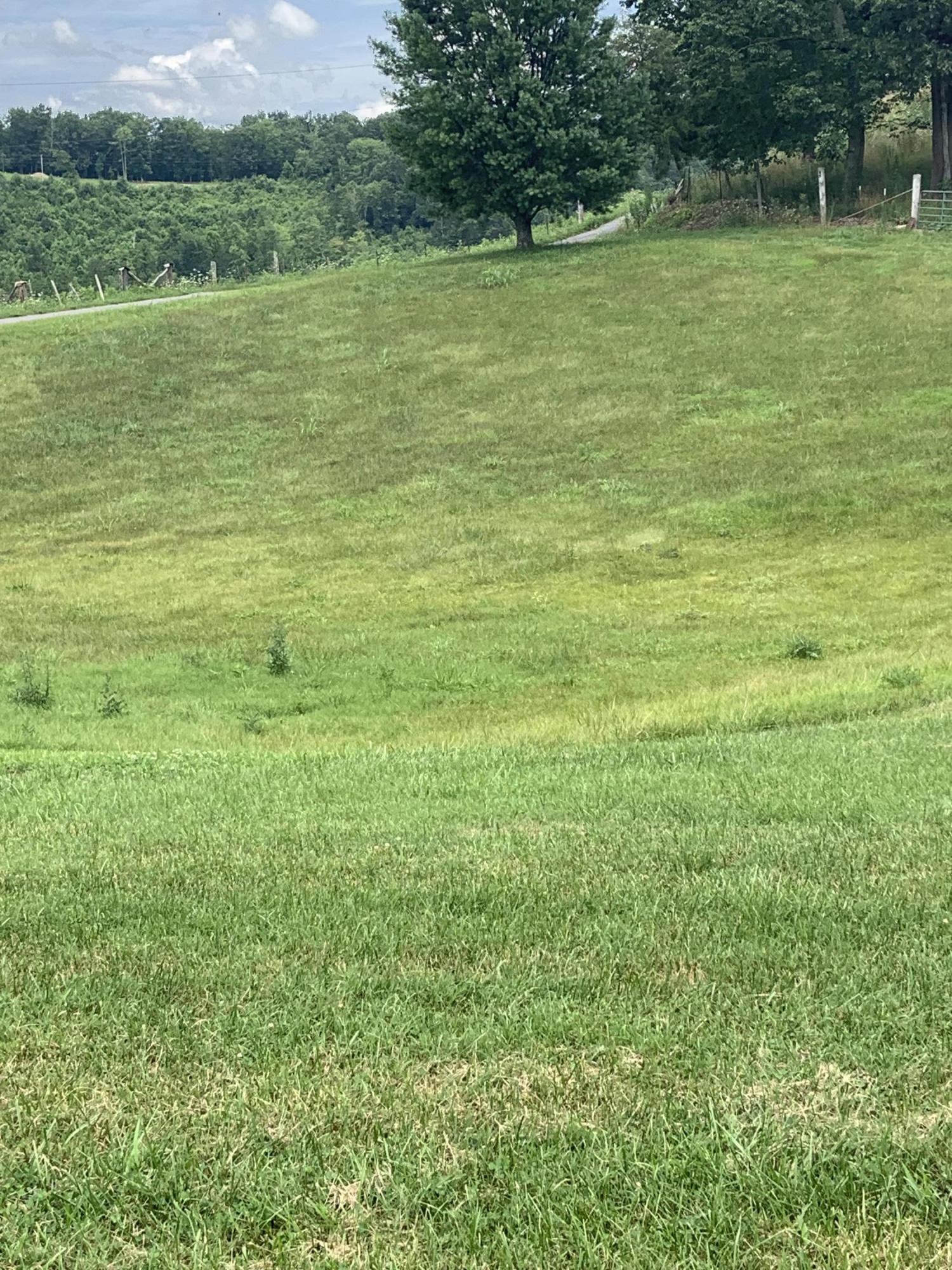 233 Tolliver Ridge Road Sharps Chapel, TN 37866 - Photo 5 of 16 2A5F1C43-F868-4930-B993-E9011FD73E63