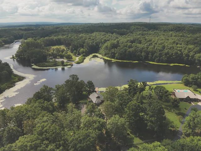 a backyard of a house with plants and large tree