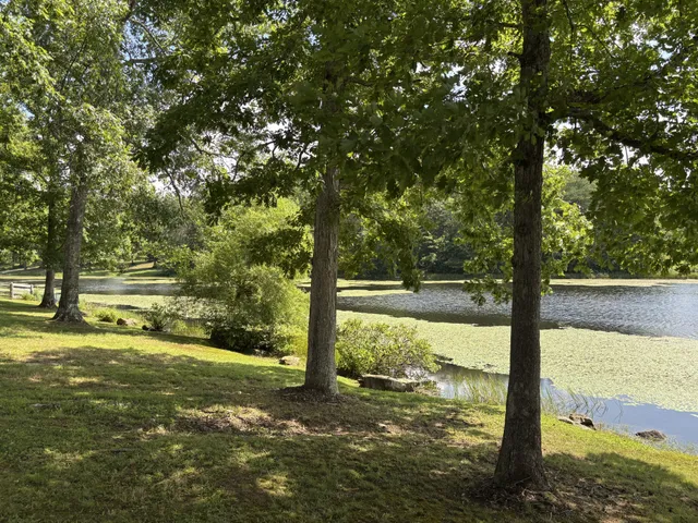 $810,000 | 137 Lakeshore Boulevard, Coalmont, TN 37313