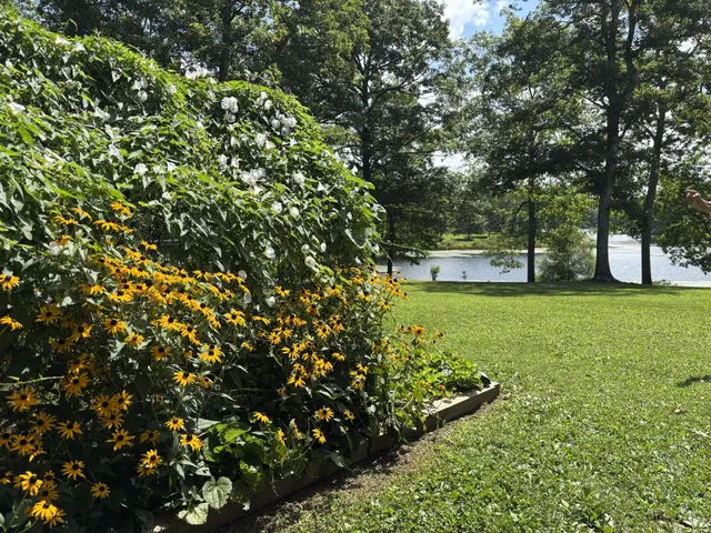 $810,000 | 137 Lakeshore Boulevard, Coalmont, TN 37313