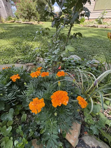 $810,000 | 137 Lakeshore Boulevard, Coalmont, TN 37313