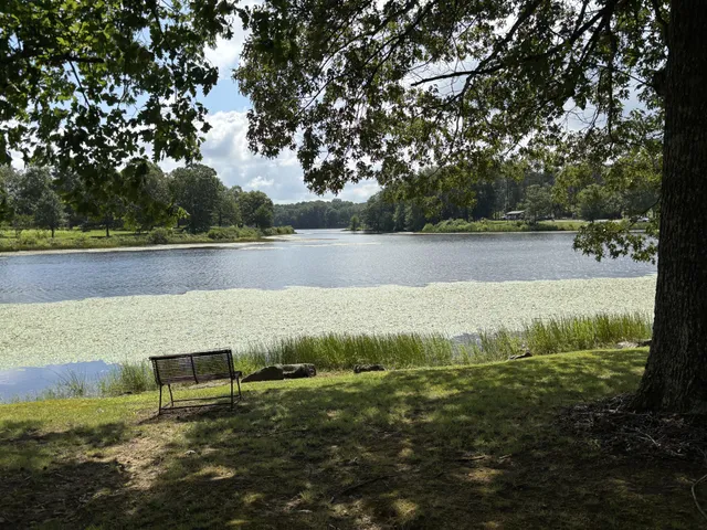 $810,000 | 137 Lakeshore Boulevard, Coalmont, TN 37313