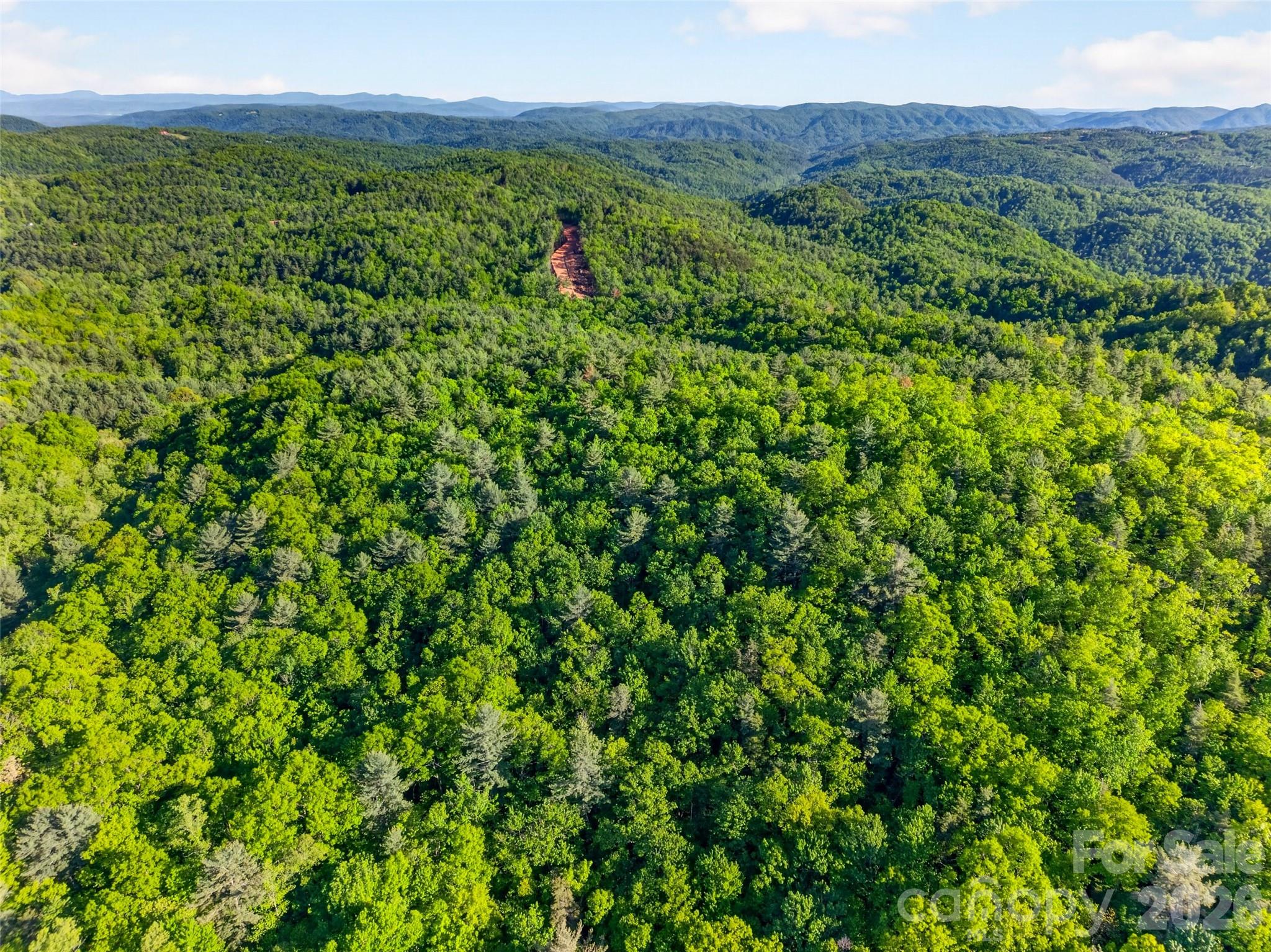 451 Signal Tree Road Deep Gap, NC 28618 - Photo 26 of 26