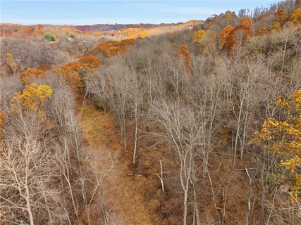 a view of a yard with trees