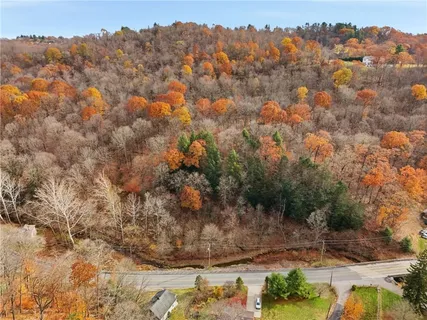a view of a yard with a tree