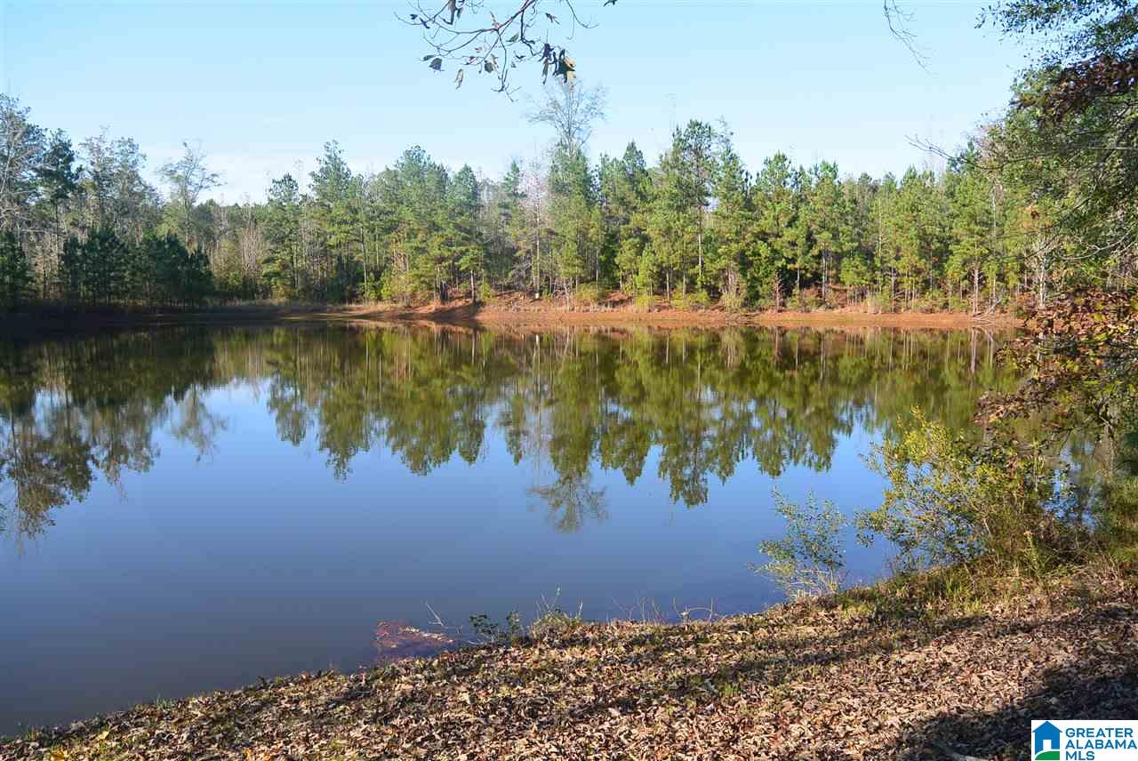 2238 Bear Creek Road Brent, AL 35034 - Photo 28 of 34