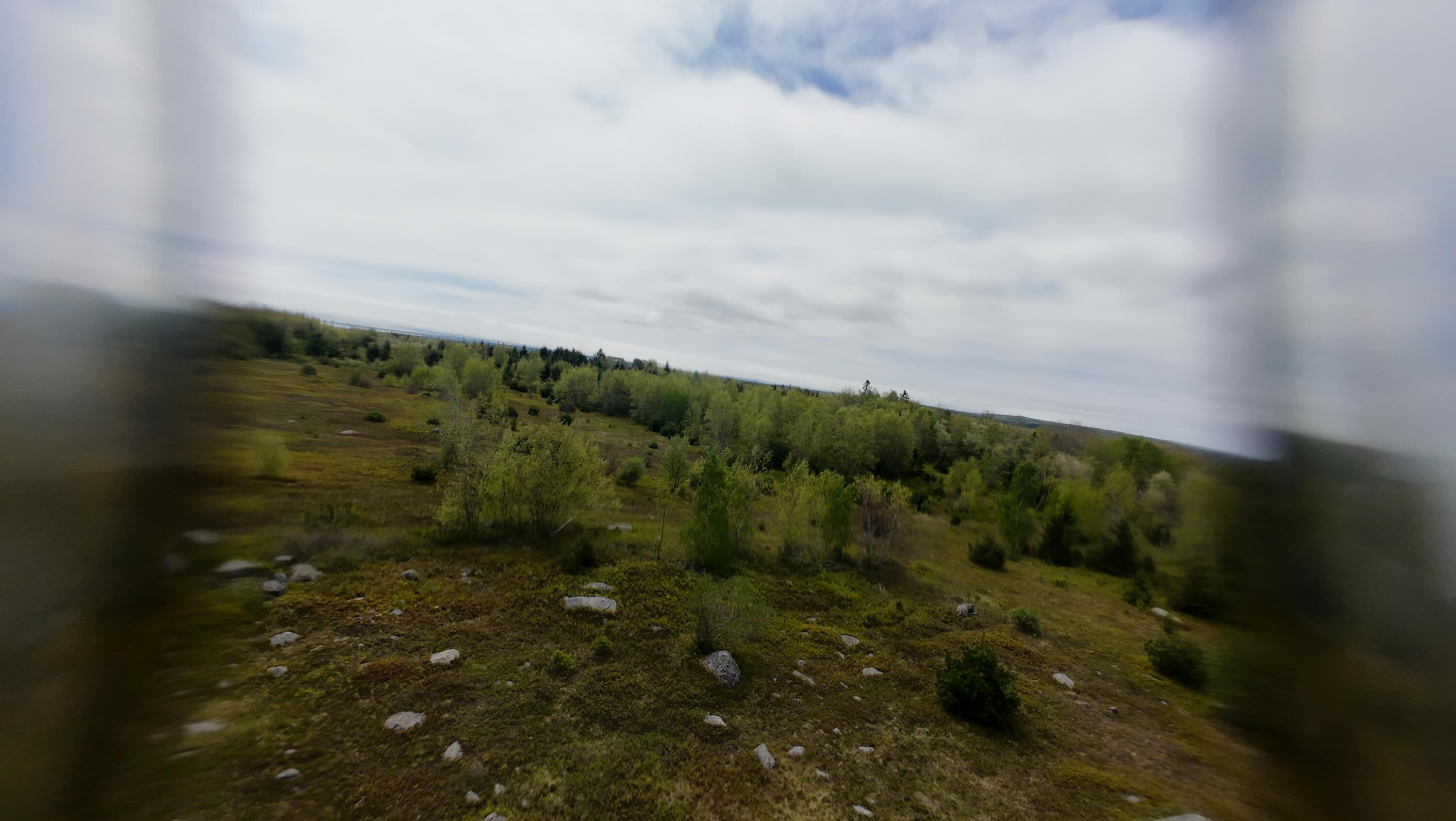 8-02a Sedgwick Ridge Road Sedgwick, ME 04676 - Photo 13 of 23 DJI_20240507150358_0006_D