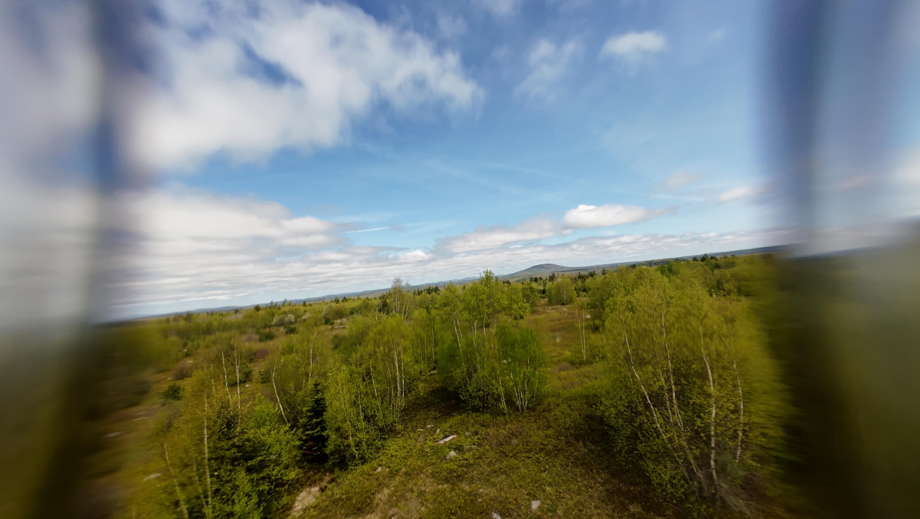 8-02a Sedgwick Ridge Road Sedgwick, ME 04676 - Photo 15 of 23 DJI_20240507150438_0008_D