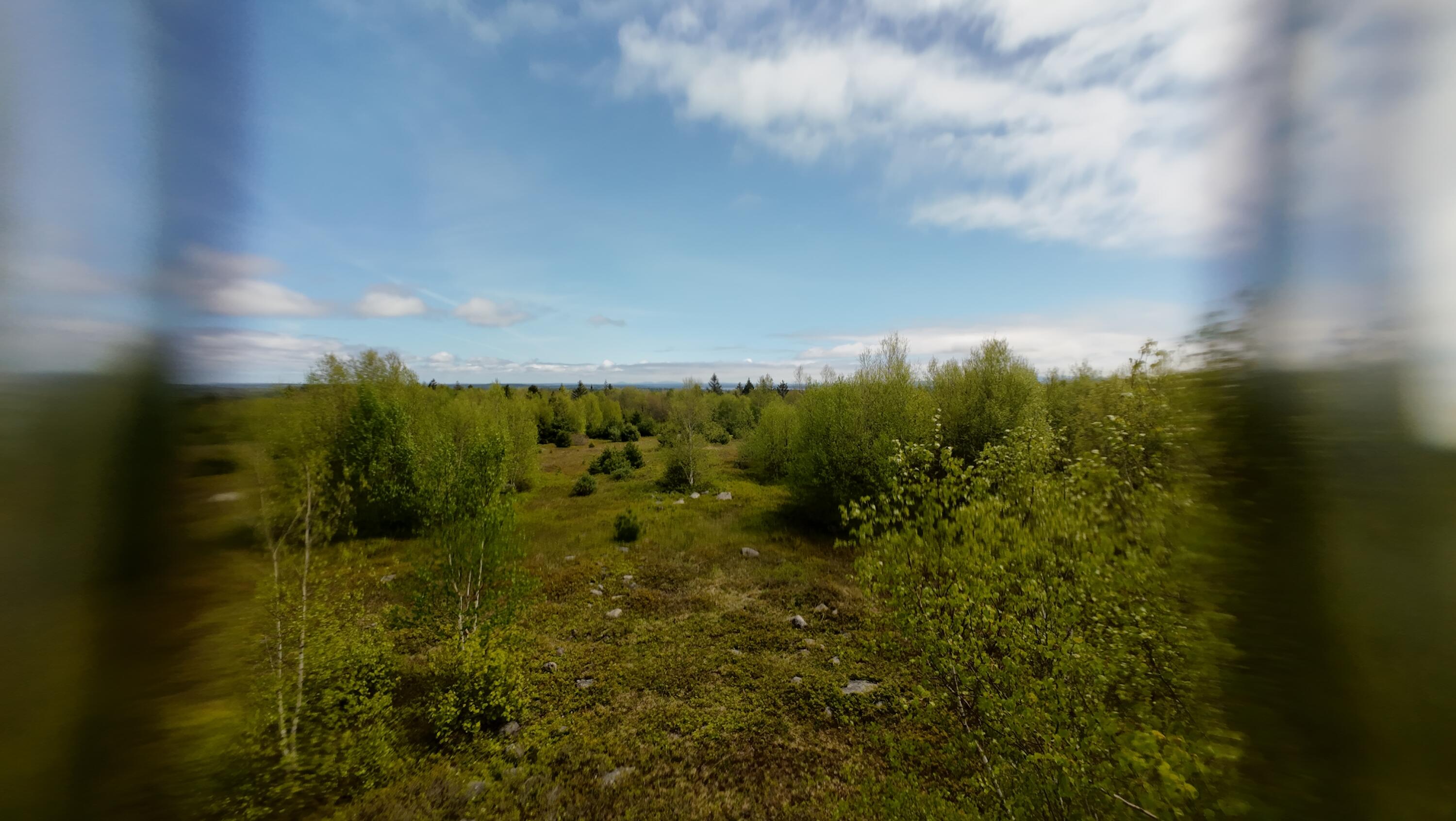 8-02a Sedgwick Ridge Road Sedgwick, ME 04676 - Photo 18 of 23 DJI_20240507150946_0013_D