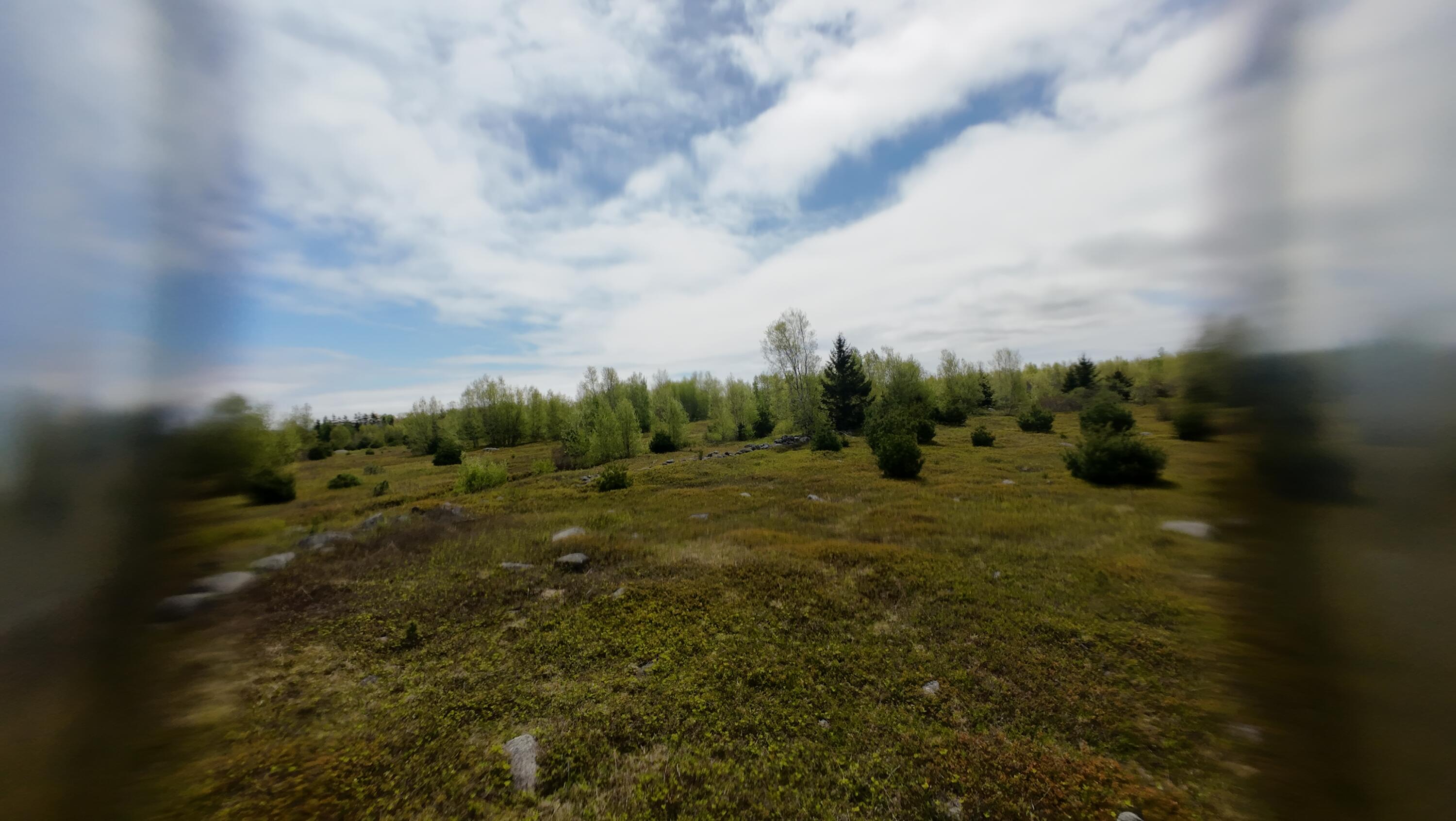 8-02a Sedgwick Ridge Road Sedgwick, ME 04676 - Photo 19 of 23 DJI_20240507151148_0019_D