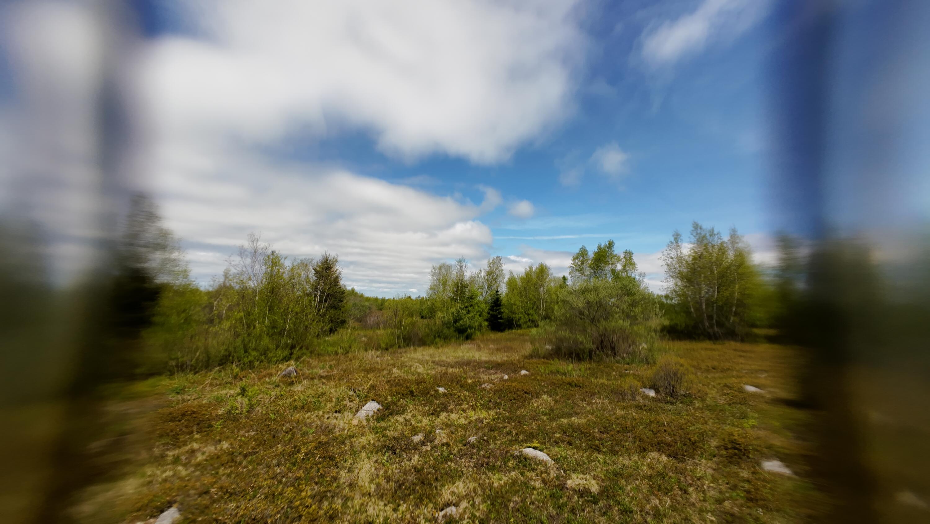 8-02a Sedgwick Ridge Road Sedgwick, ME 04676 - Photo 20 of 23 DJI_20240507151432_0022_D