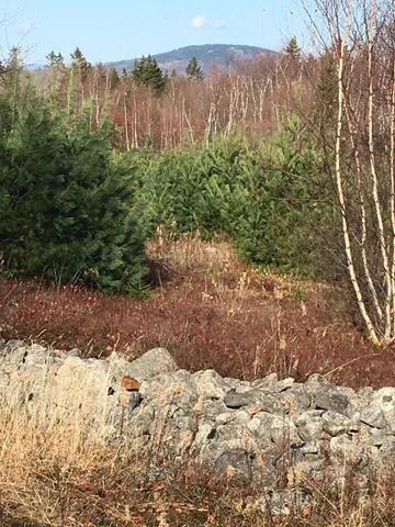 $188,000 | 8-02a Sedgwick Ridge Road, Sedgwick, ME 04676