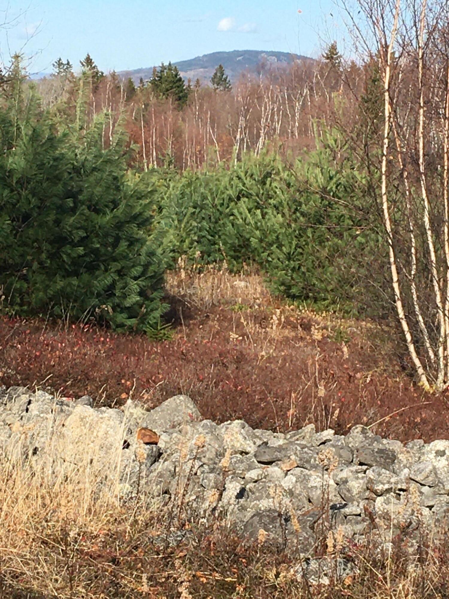 8-02a Sedgwick Ridge Road Sedgwick, ME 04676 - Photo 2 of 23 Blue Hill Mnt
