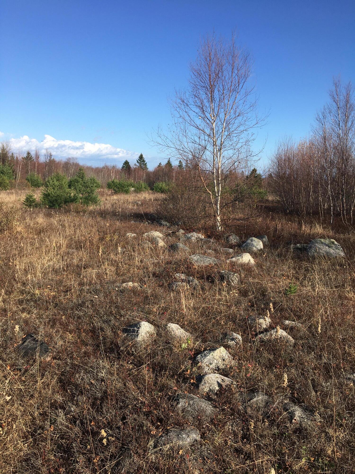 8-02a Sedgwick Ridge Road Sedgwick, ME 04676 - Photo 3 of 23 IMG_0251