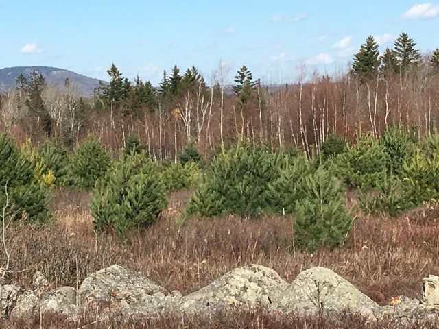 $188,000 | 8-02a Sedgwick Ridge Road, Sedgwick, ME 04676