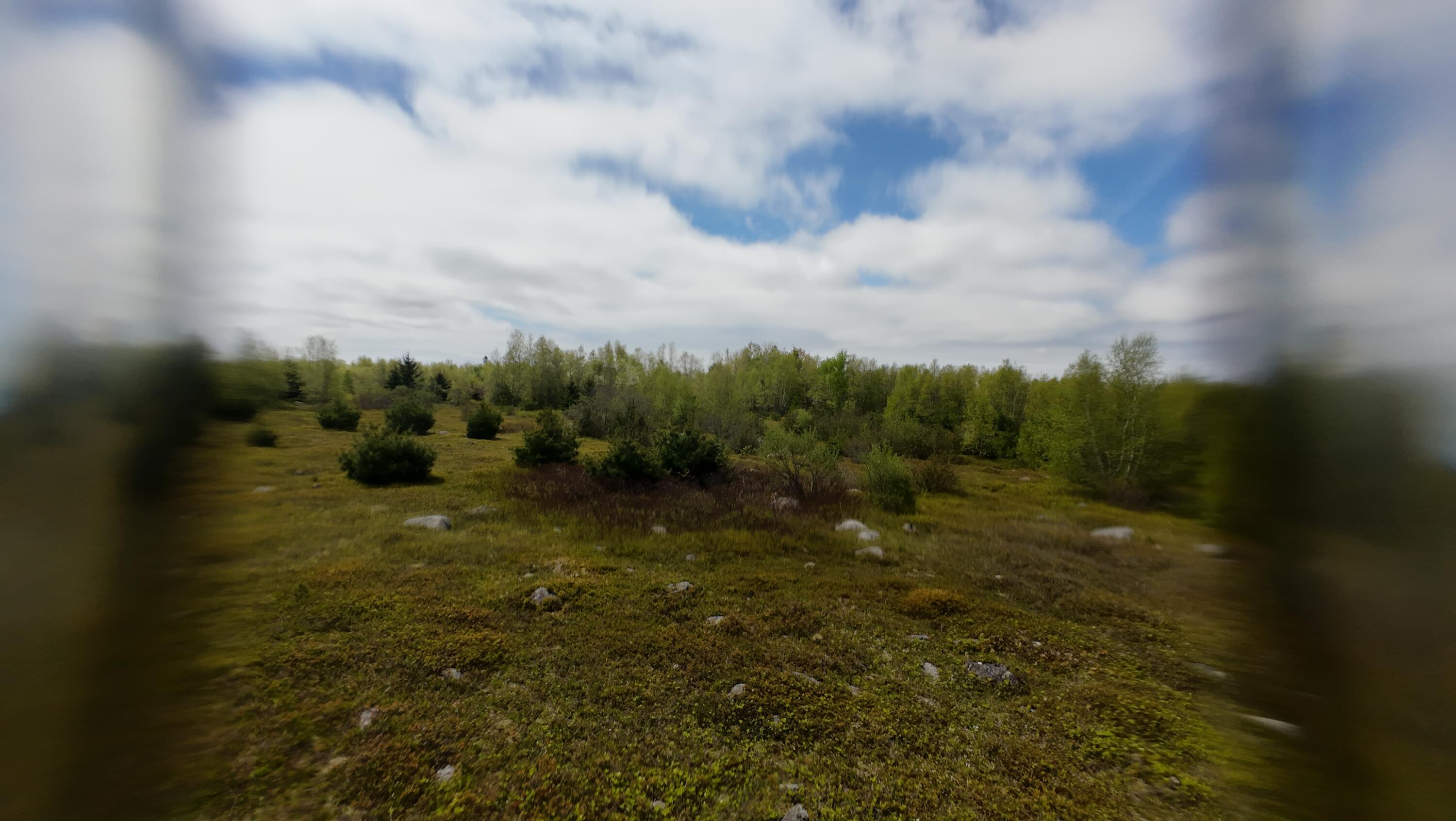8-02a Sedgwick Ridge Road Sedgwick, ME 04676 - Photo 5 of 23 DJI_20240507151142_0018_D