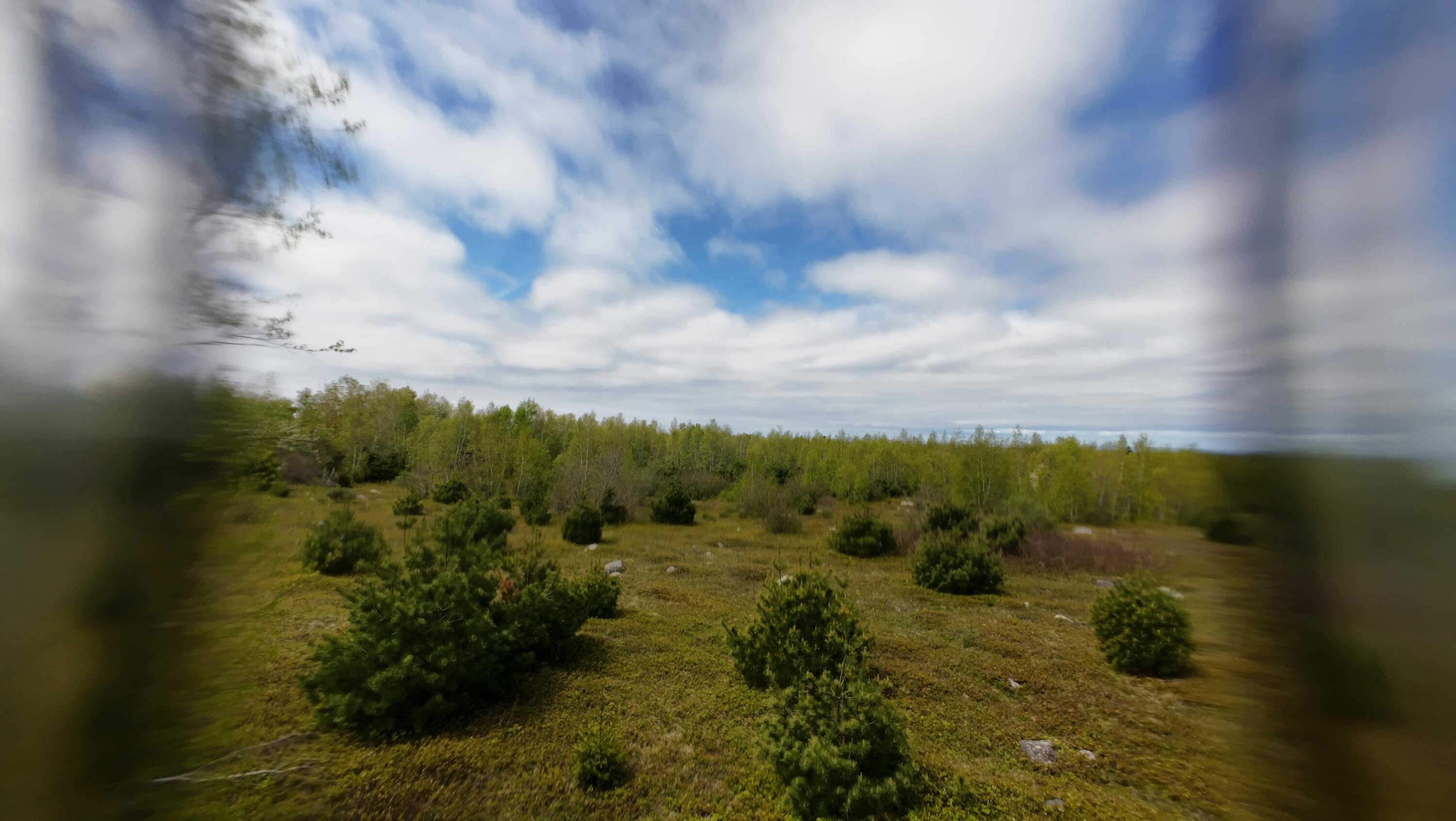 8-02a Sedgwick Ridge Road Sedgwick, ME 04676 - Photo 7 of 23 DJI_20240507151044_0016_D