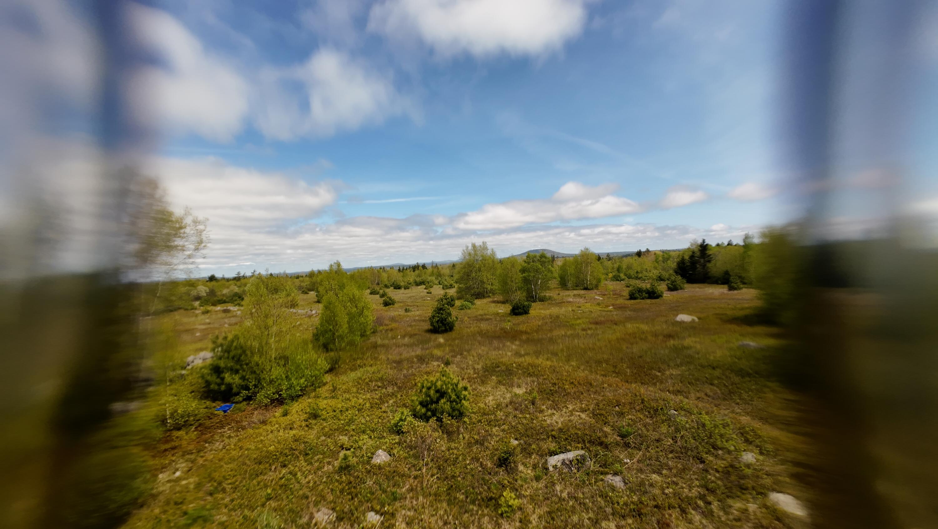 8-02a Sedgwick Ridge Road Sedgwick, ME 04676 - Photo 10 of 23 DJI_20240507151002_0015_D
