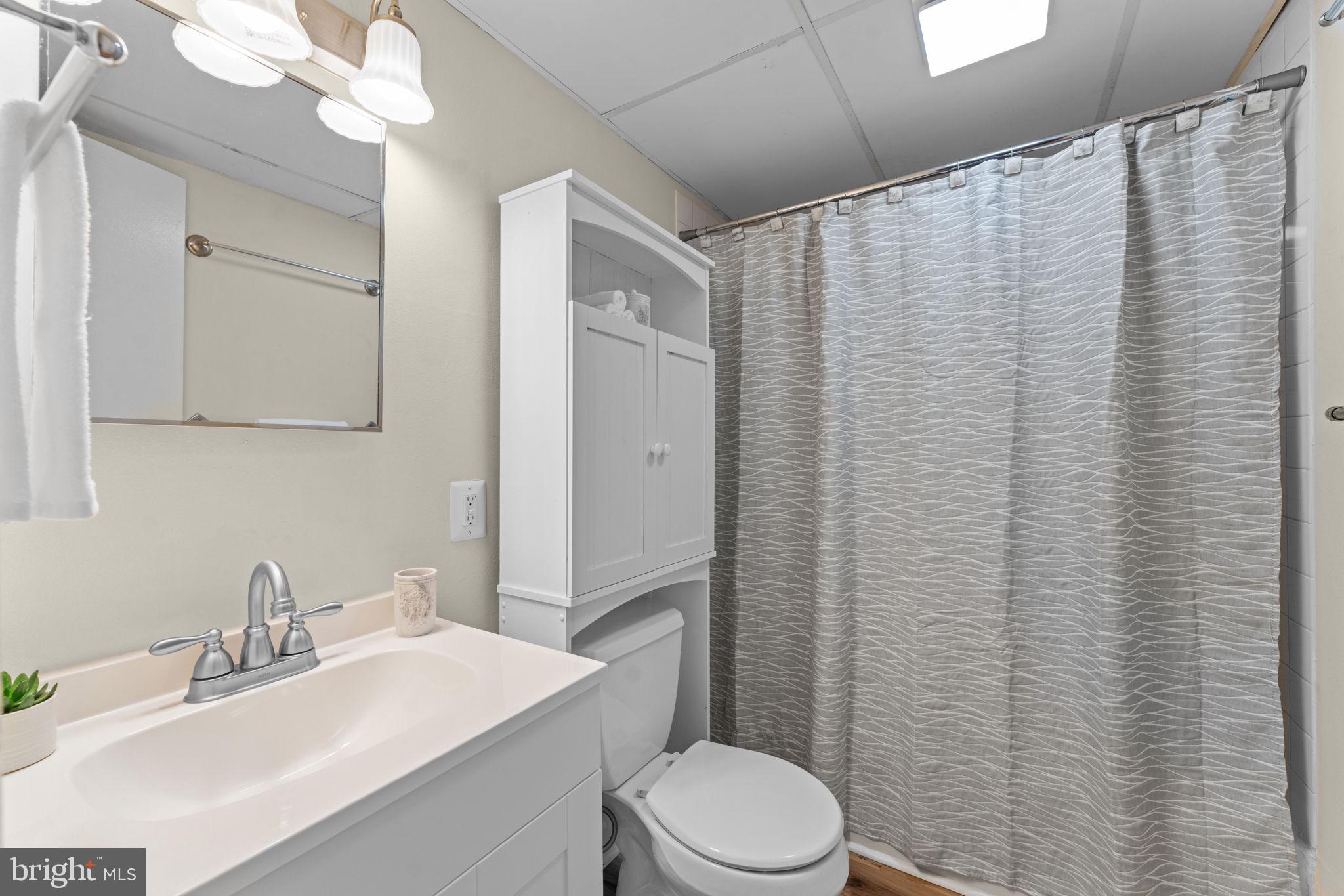 11492 Rawhide Road Lusby, MD 20657 - Photo 51 of 96 a bathroom with a sink a toilet and shower curtain