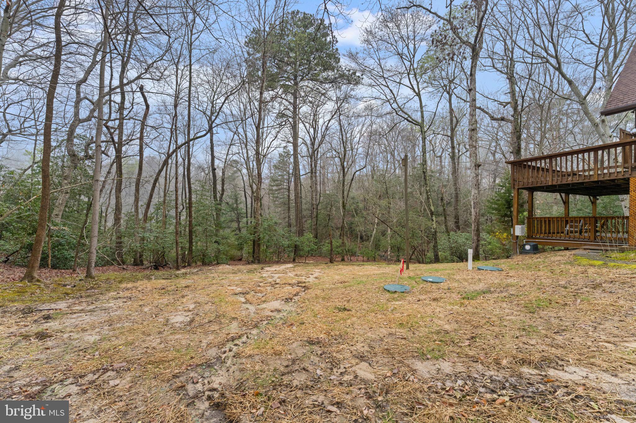 11492 Rawhide Road Lusby, MD 20657 - Photo 76 of 96 a backyard of apartments with large trees