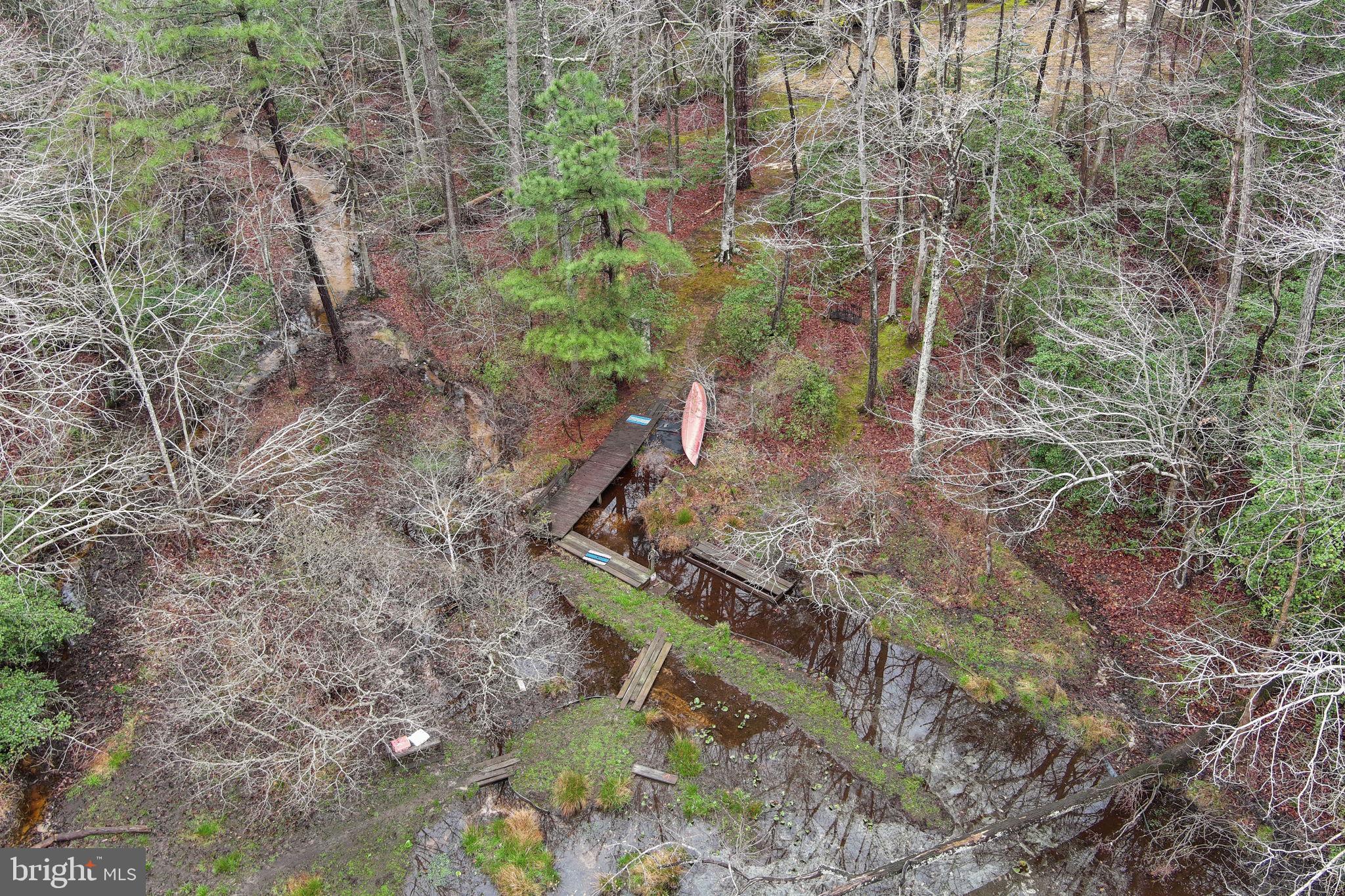 11492 Rawhide Road Lusby, MD 20657 - Photo 88 of 96 a view of a yard with plants and large trees