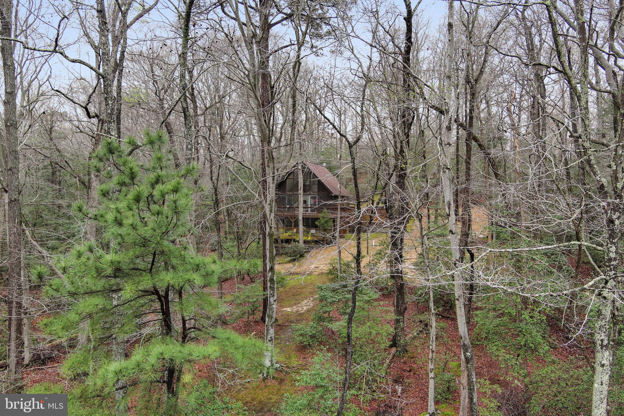 11492 Rawhide Road Lusby, MD 20657 - Photo 93 of 96 Grounds