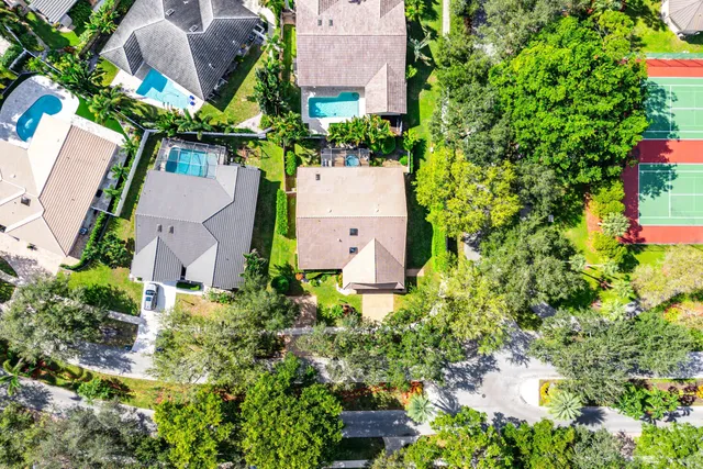 view of a tree with plants