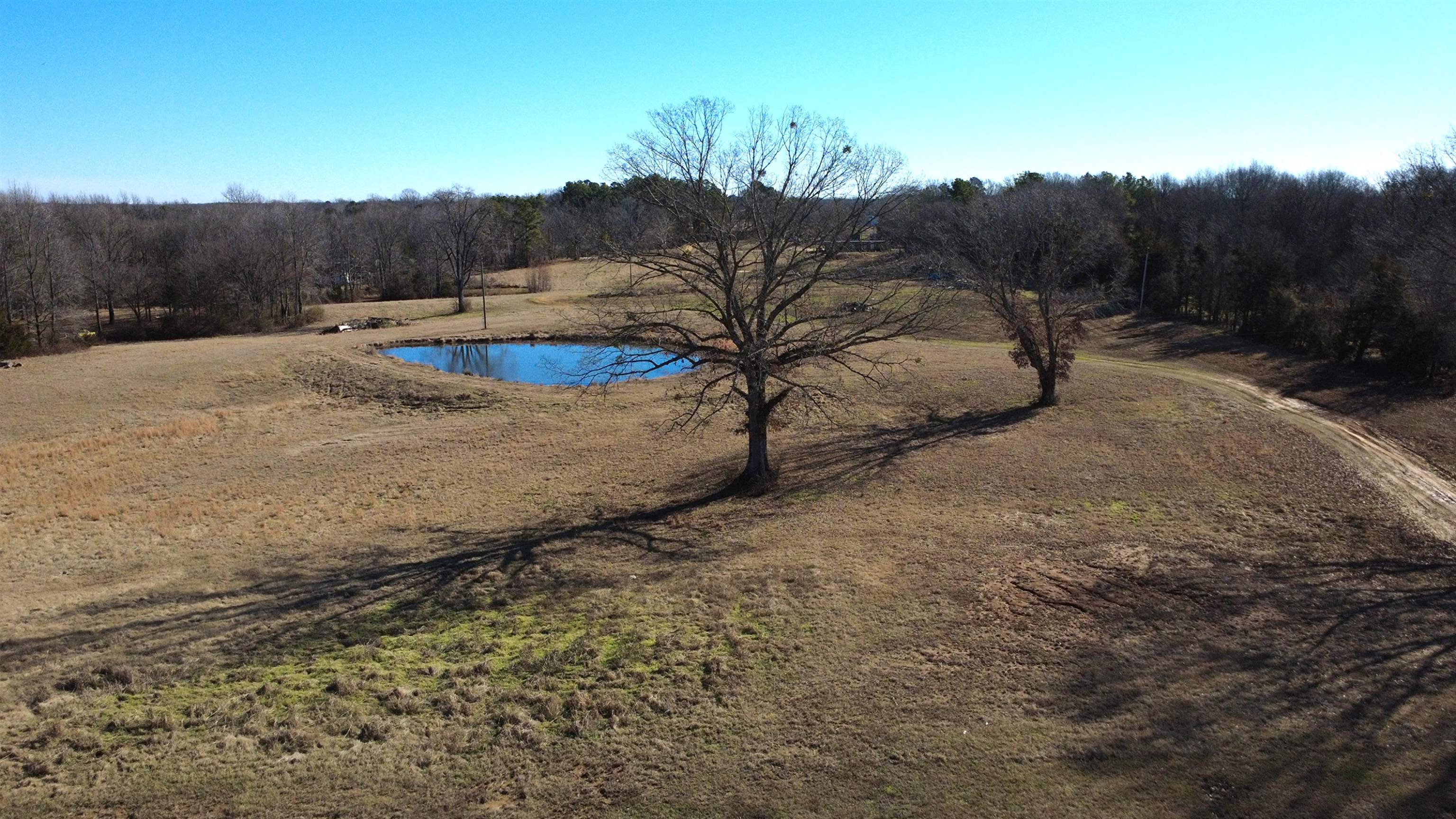 2023 Gravel Springs Road Senatobia, MS 38668 - Photo 2 of 9 a view of a dry yard with trees