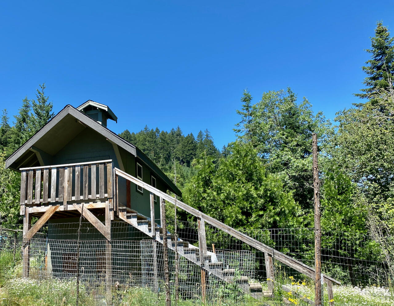322 Beecher Road Wolf Creek, OR 97497 - Photo 17 of 47 Chicken coop and goat pen
