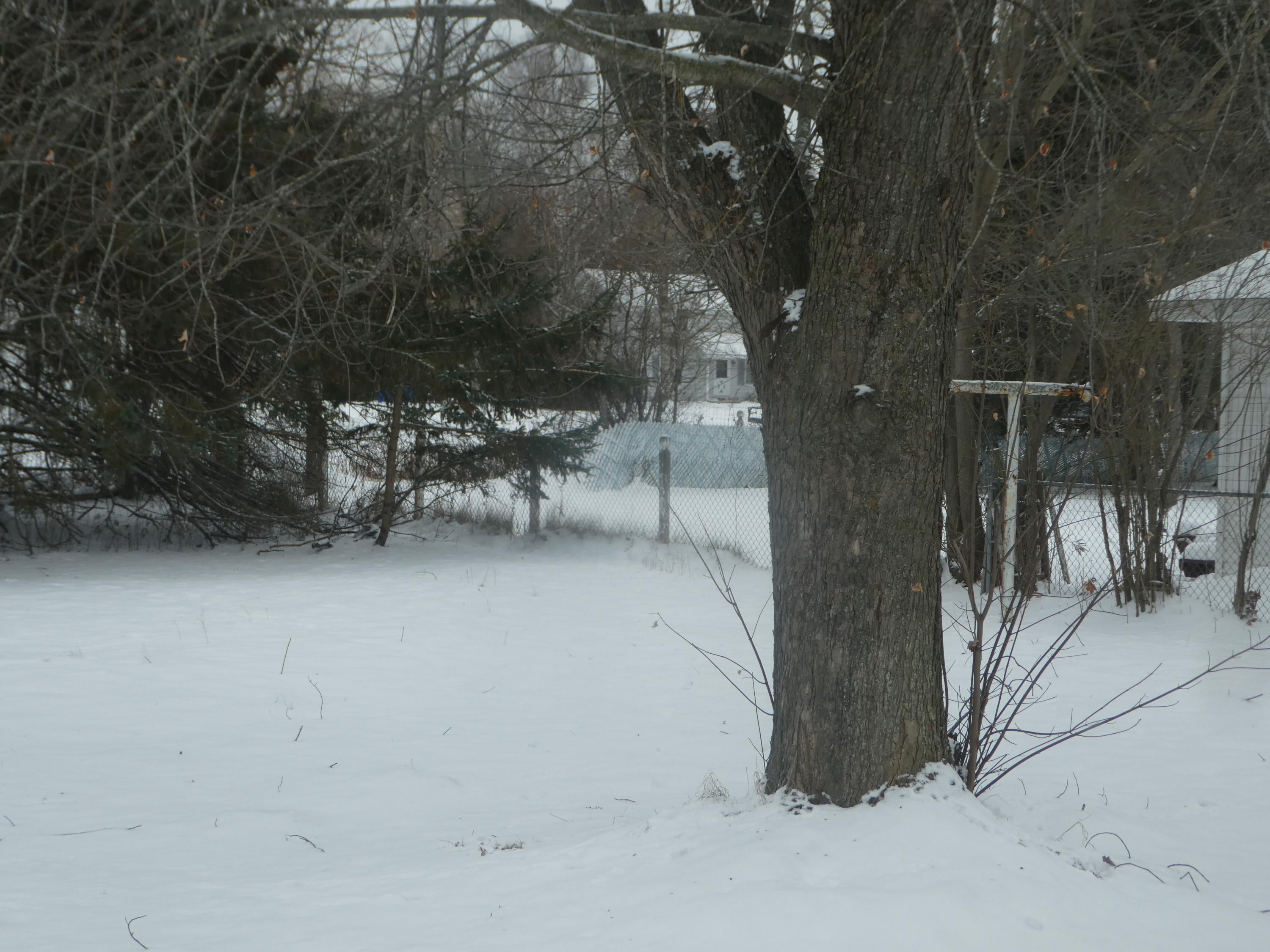 1051 Pine Road Alpena, MI 49707 - Photo 21 of 42 Gallery Image 21
