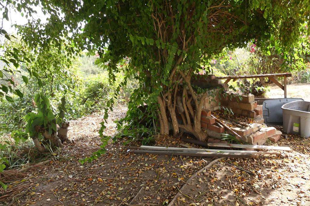 0 Bobritt Road Bonsall, CA 92003 - Photo 15 of 32