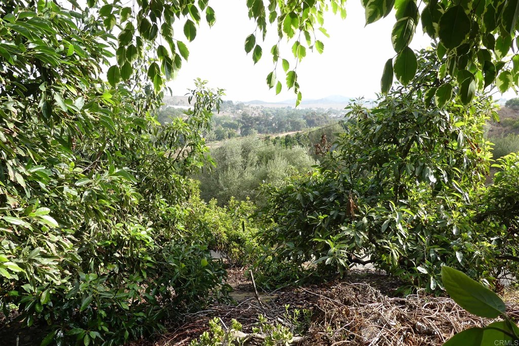 0 Bobritt Road Bonsall, CA 92003 - Photo 17 of 32