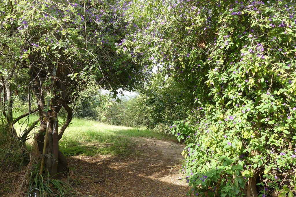 0 Bobritt Road Bonsall, CA 92003 - Photo 27 of 32