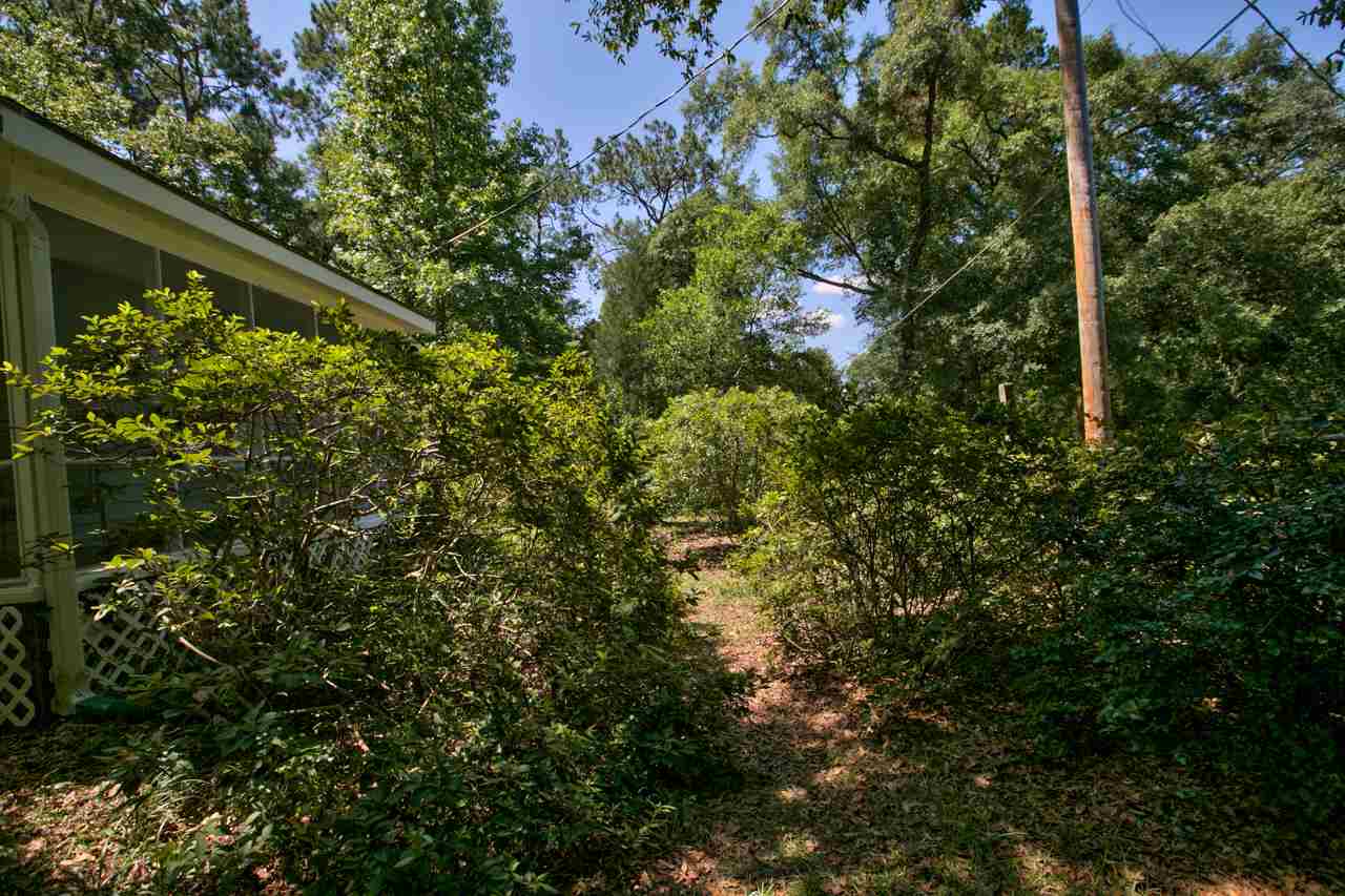 509 Curtis Road Tallahassee, FL 32305 - Photo 3 of 25 Gallery Image 3