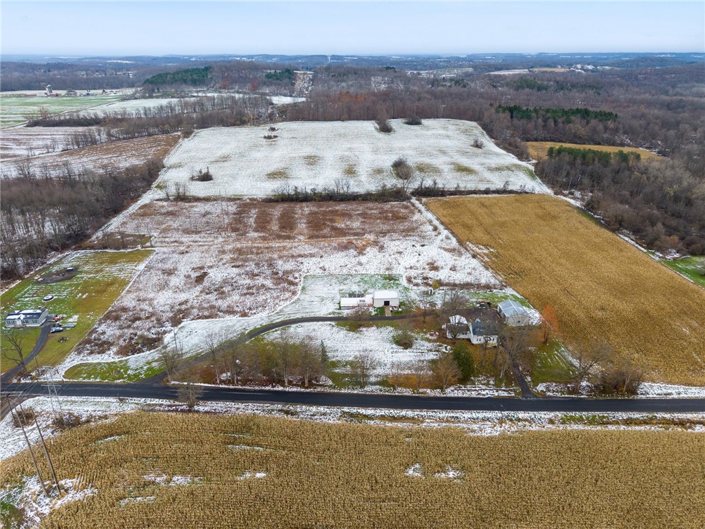 8048 Lasher Road Port Byron, NY 13140 - Photo 8 of 50