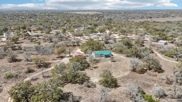 a view of a house with a backyard and a tree