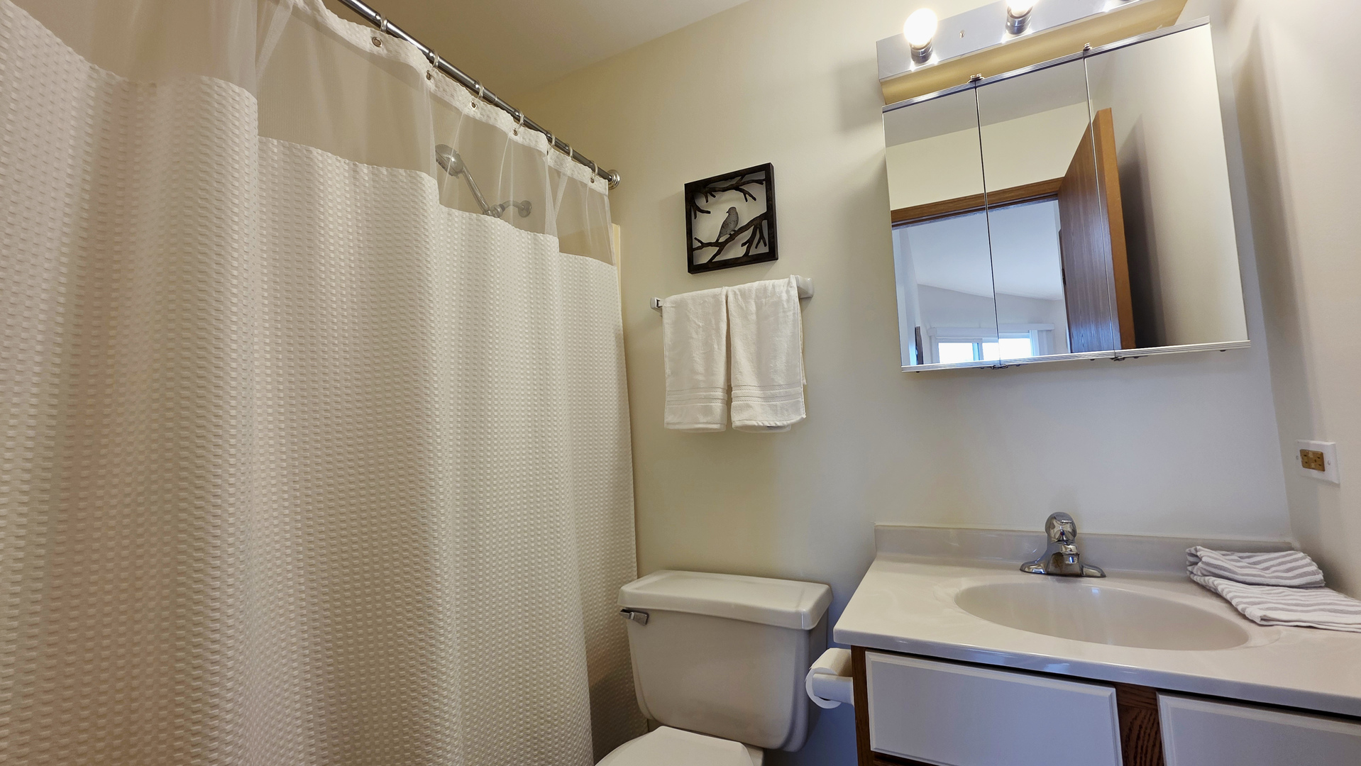 4302 West Shamrock Lane, Unit 3C McHenry, IL 60050 - Photo 12 of 20 a bathroom with a sink toilet and mirror
