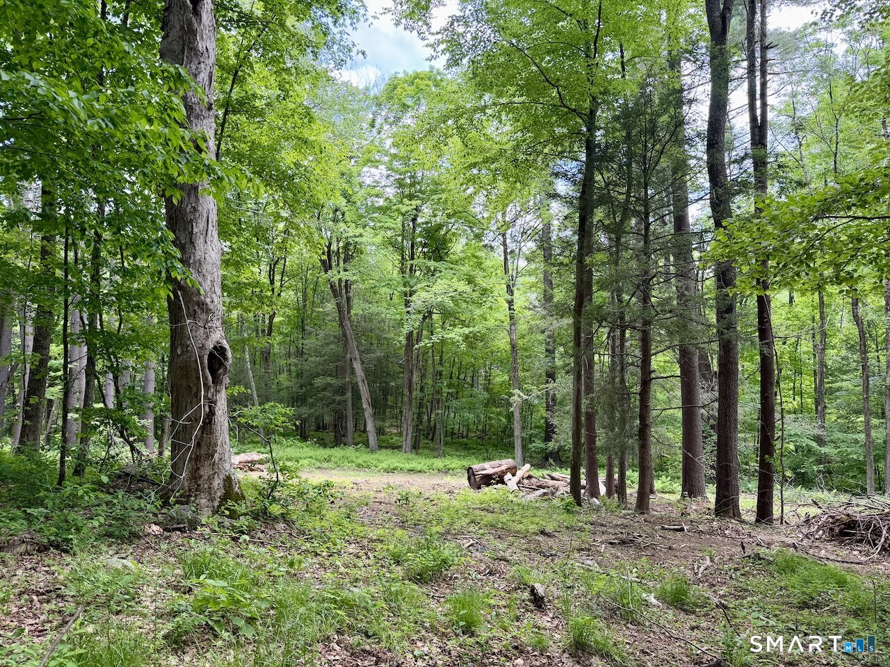 0 Great Hollow Road West Cornwall, CT 06796 - Photo 7 of 10