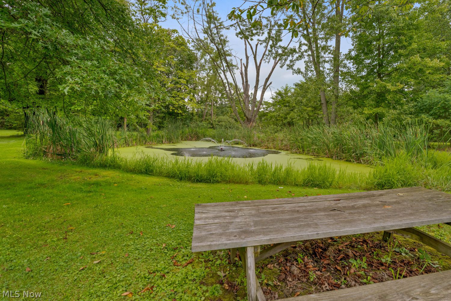 4857 Ridge Road Cortland, OH 44410 - Photo 27 of 27 Gallery Image 27
